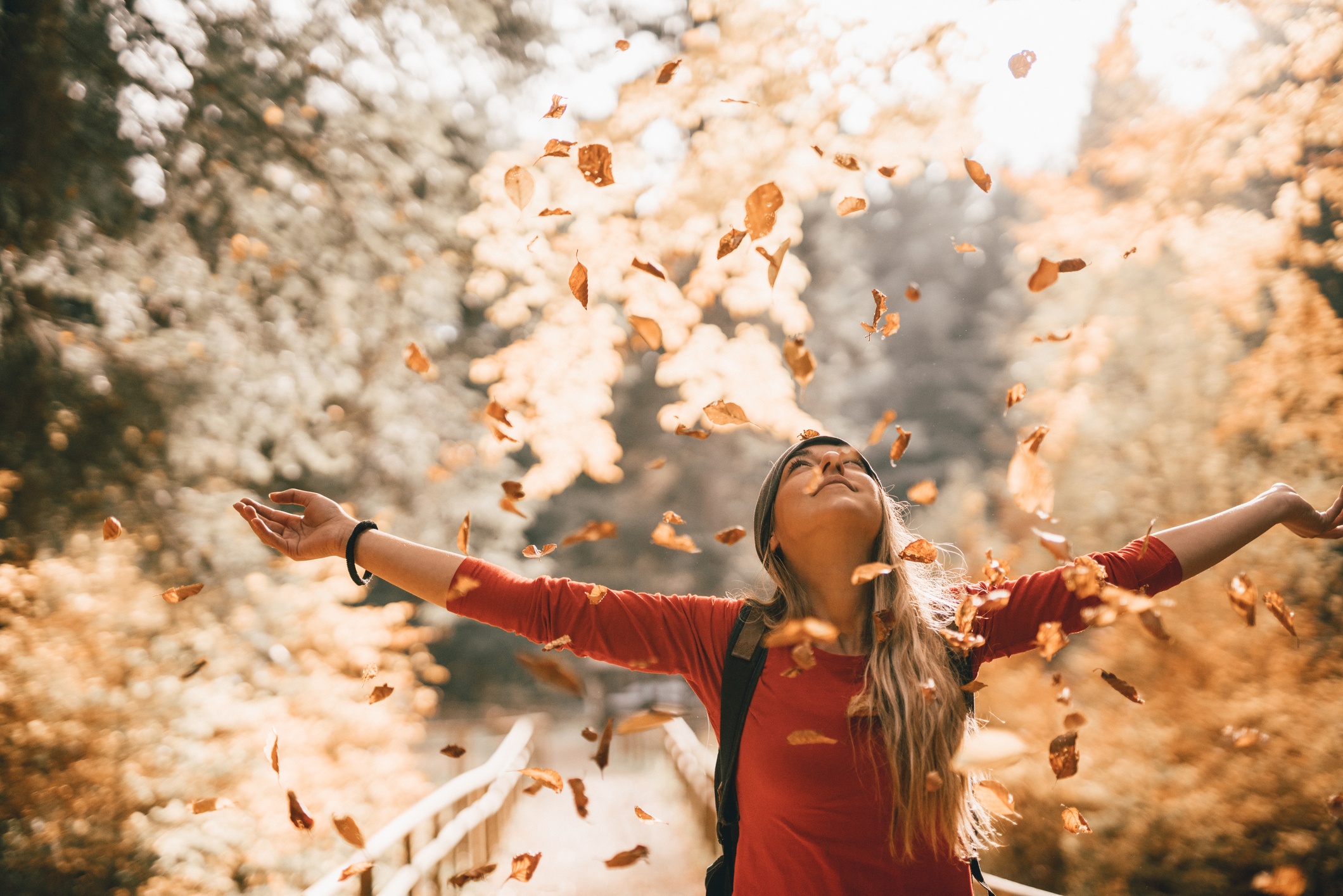 Popular Fall Activities In Bozeman