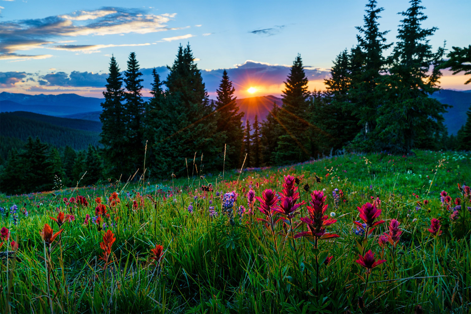 Photo-Worthy Hikes Around Bozeman