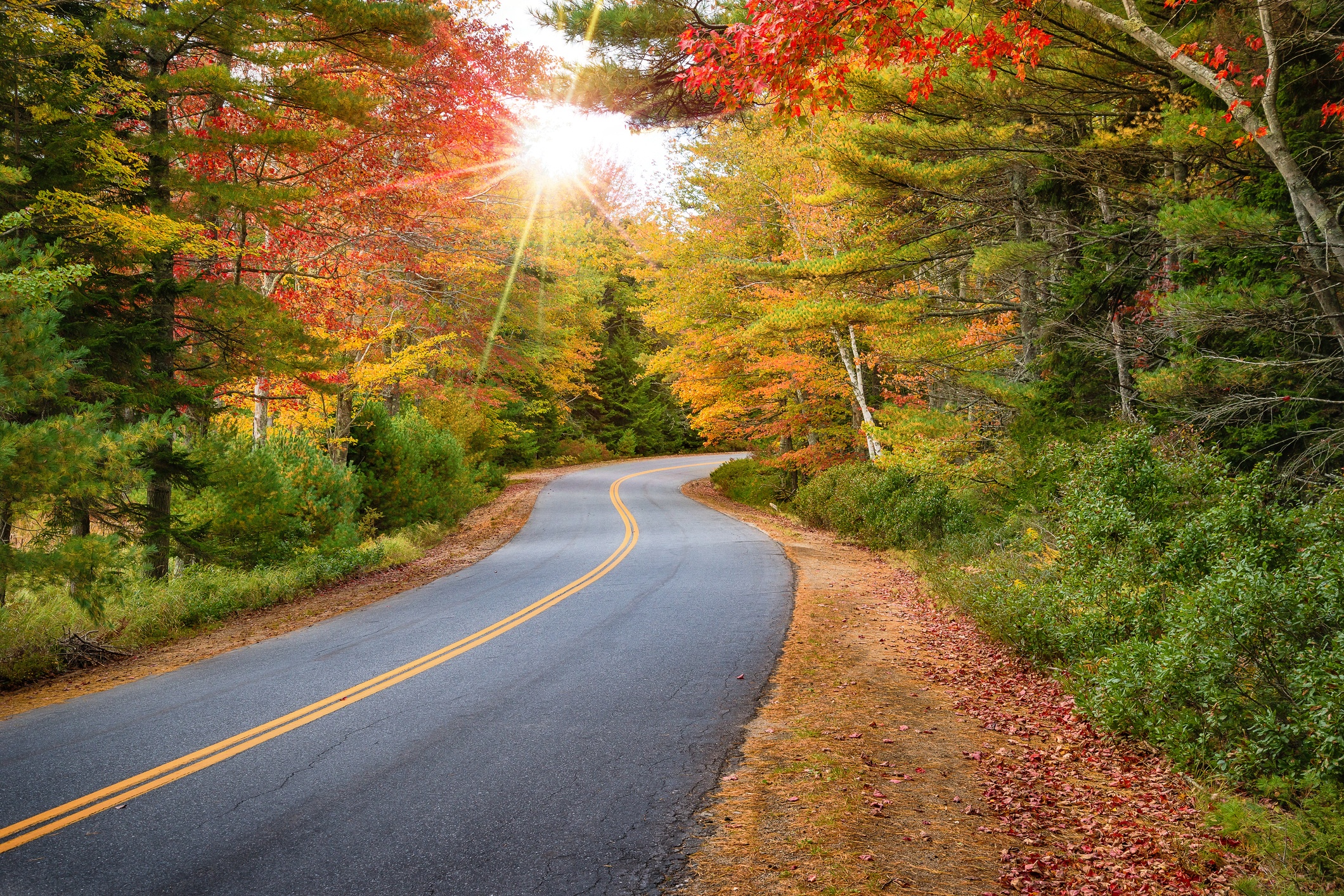 Uplifting Fall Views To Inspire Yourself